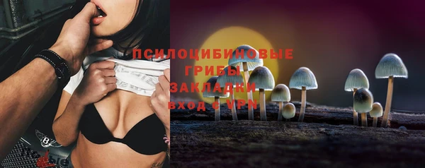 бошки Володарск